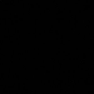 Meet your Posher, Negy